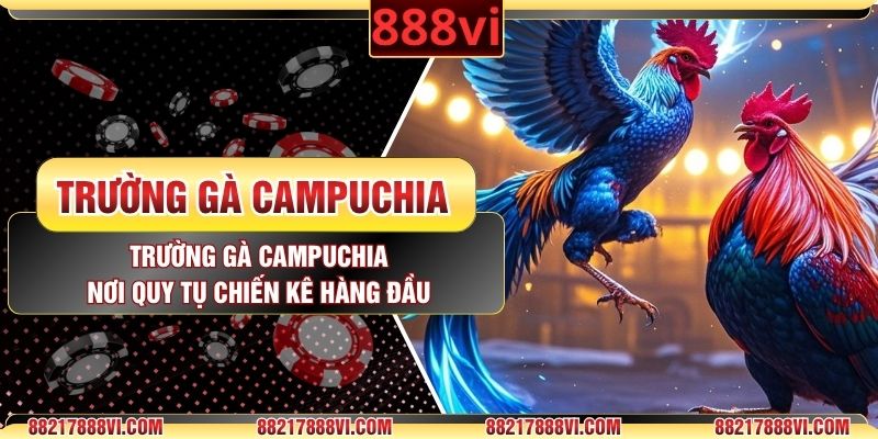Trường Gà Campuchia - Nơi Quy Tụ Chiến Kê Hàng Đầu